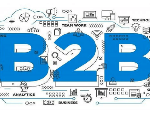 B2B E-Commerce Development Insights by Digital Solution Pros